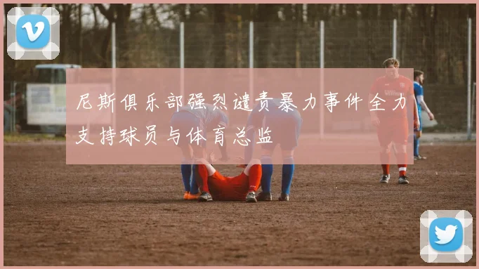 尼斯俱乐部强烈谴责暴力事件全力支持球员与体育总监