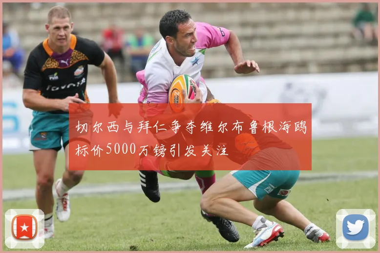 切尔西与拜仁争夺维尔布鲁根海鸥标价5000万镑引发关注