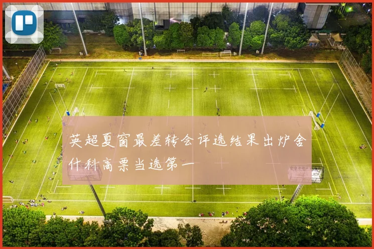 英超夏窗最差转会评选结果出炉舍什科高票当选第一