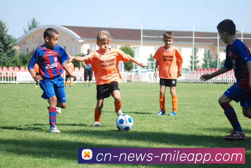 多媒体互动体验