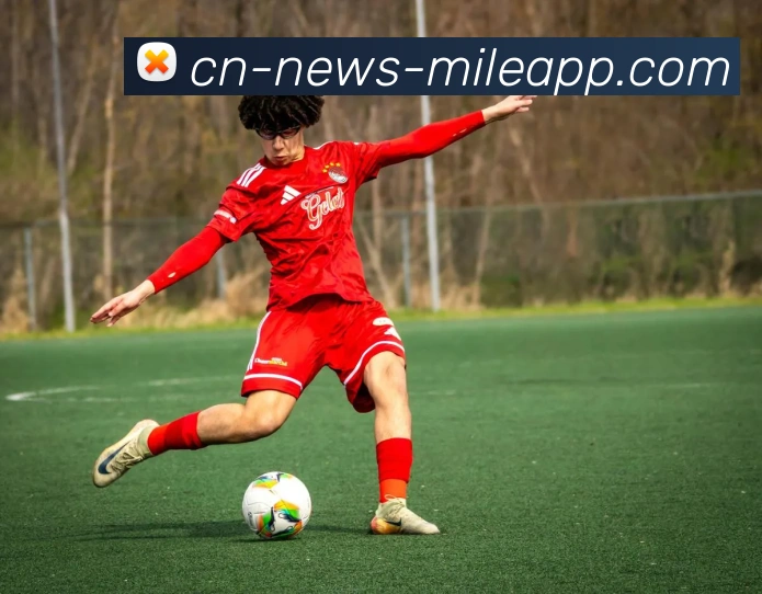 米乐体育APP 高清赛事图